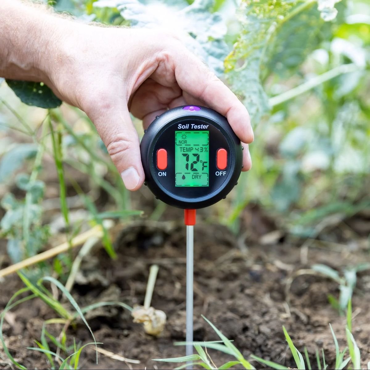Soil Testing 3